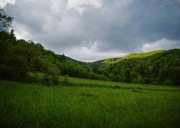 Na Jędrzejówkach - Janosik Сasa de vacaciones *