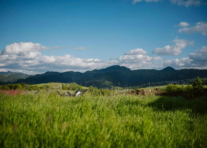 Na Jędrzejówkach - Janosik