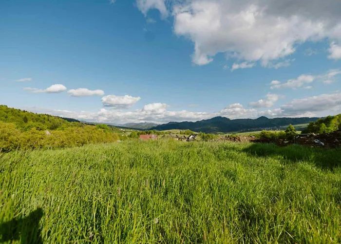 Na Jędrzejówkach - Janosik *