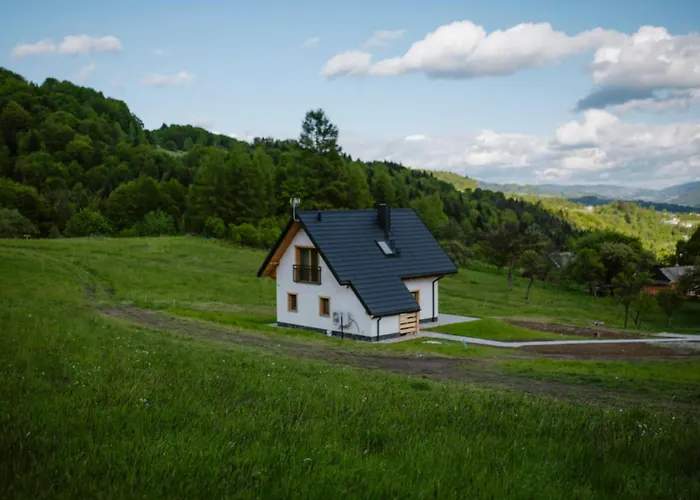 Na Jędrzejówkach - Janosik * Grywald